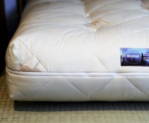 Eucalyptus mattress matelas Suprême Eucalyptus