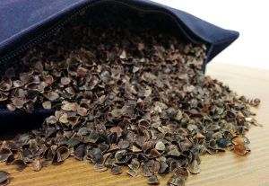 oreiller-sarrasin-buckwheat pillow